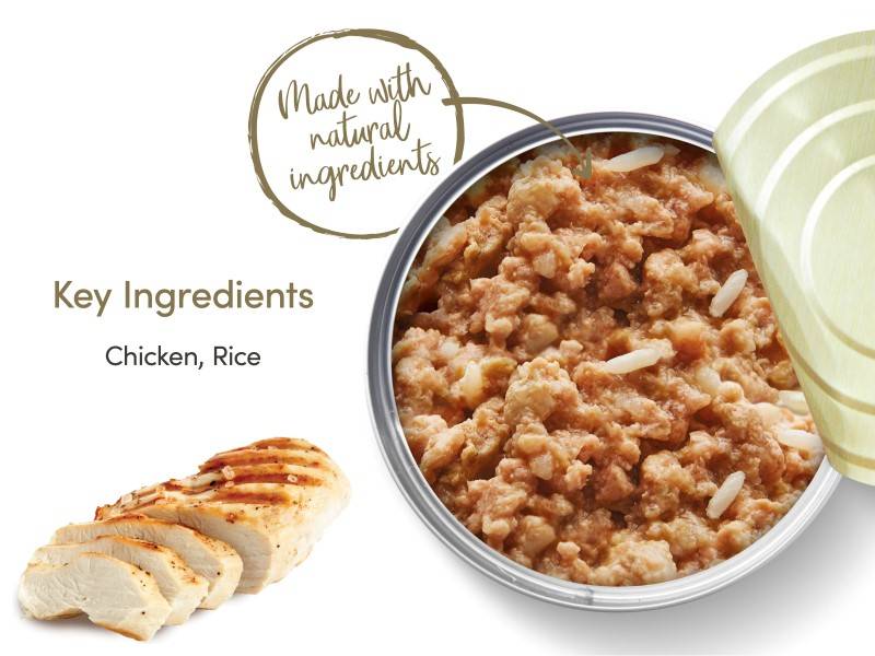 Applaws Kitten Chicken 70g - PetWorld