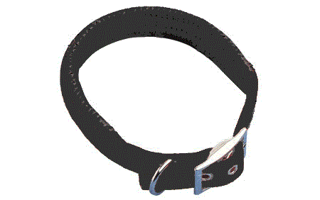 Black Padded Dog Collar Petworld ireland