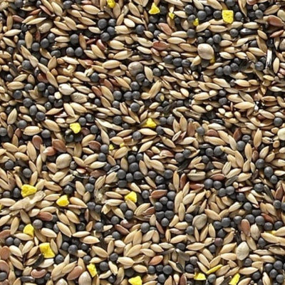 Nature's Best Canary Seed 1kg - PetWorld