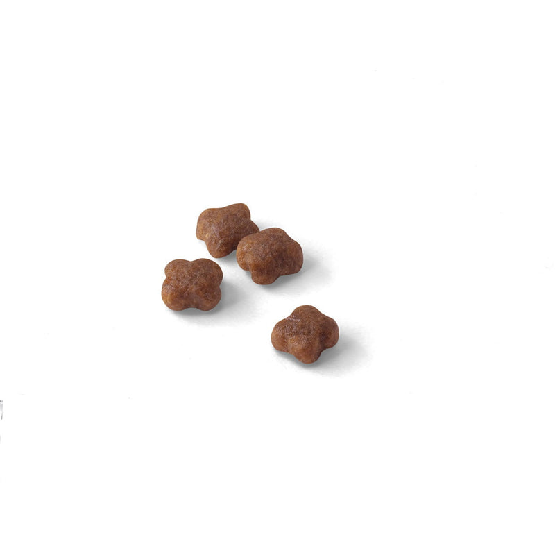 Royal Canin Mother and Baby Cat Food - PetWorld