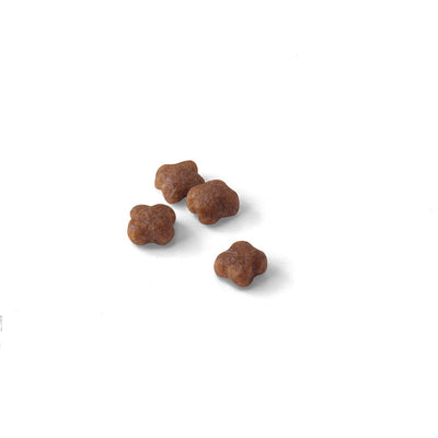 Royal Canin Mother and Baby Cat Food - PetWorld