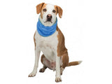 Dog Cooling Bandana