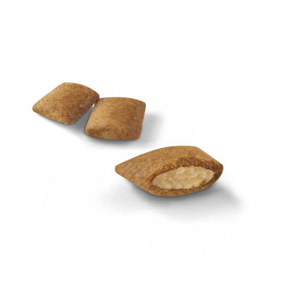 Royal Canin Aging +12 Cat Food - PetWorld