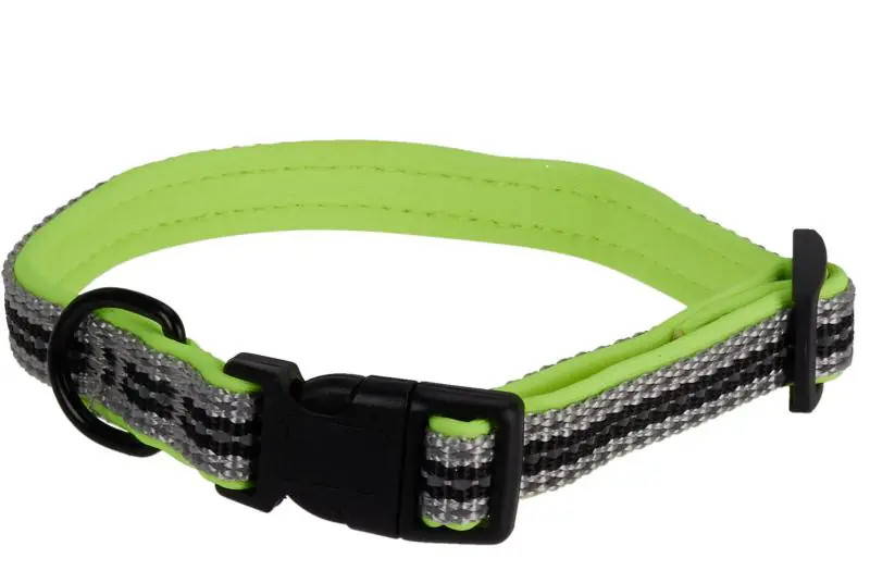 DOG COLLAR, 3 SIZES