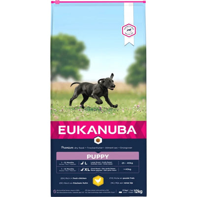Puppy eating Eukanuba