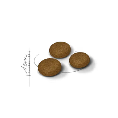 Royal Canin Fussy Adult Dry Cat Food