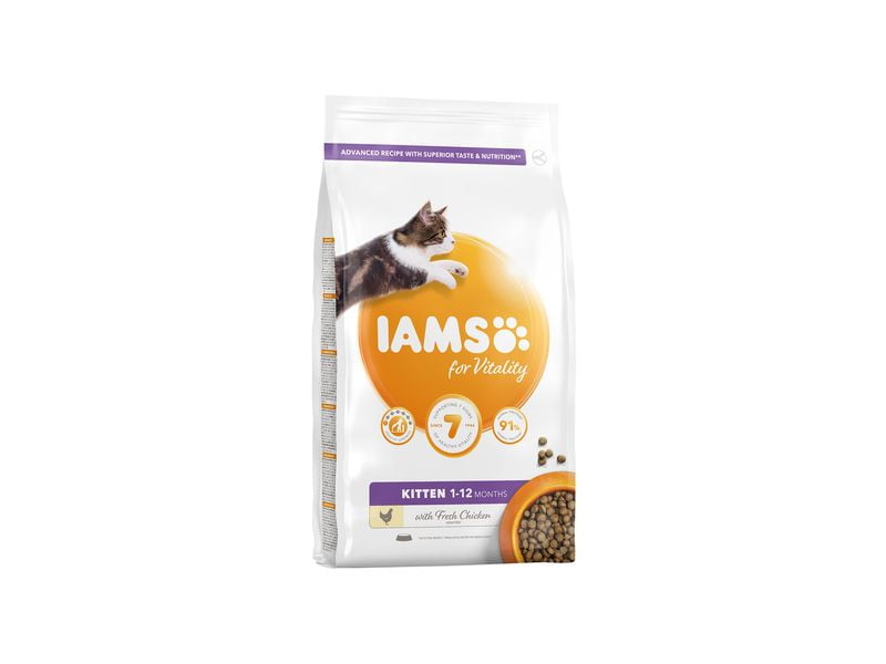 iams kitten