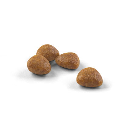 Royal Canin Outdoor Cat Ageing 7+ Dry Mix - PetWorld