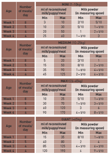 Royal Canin Babydog Milk - PetWorld