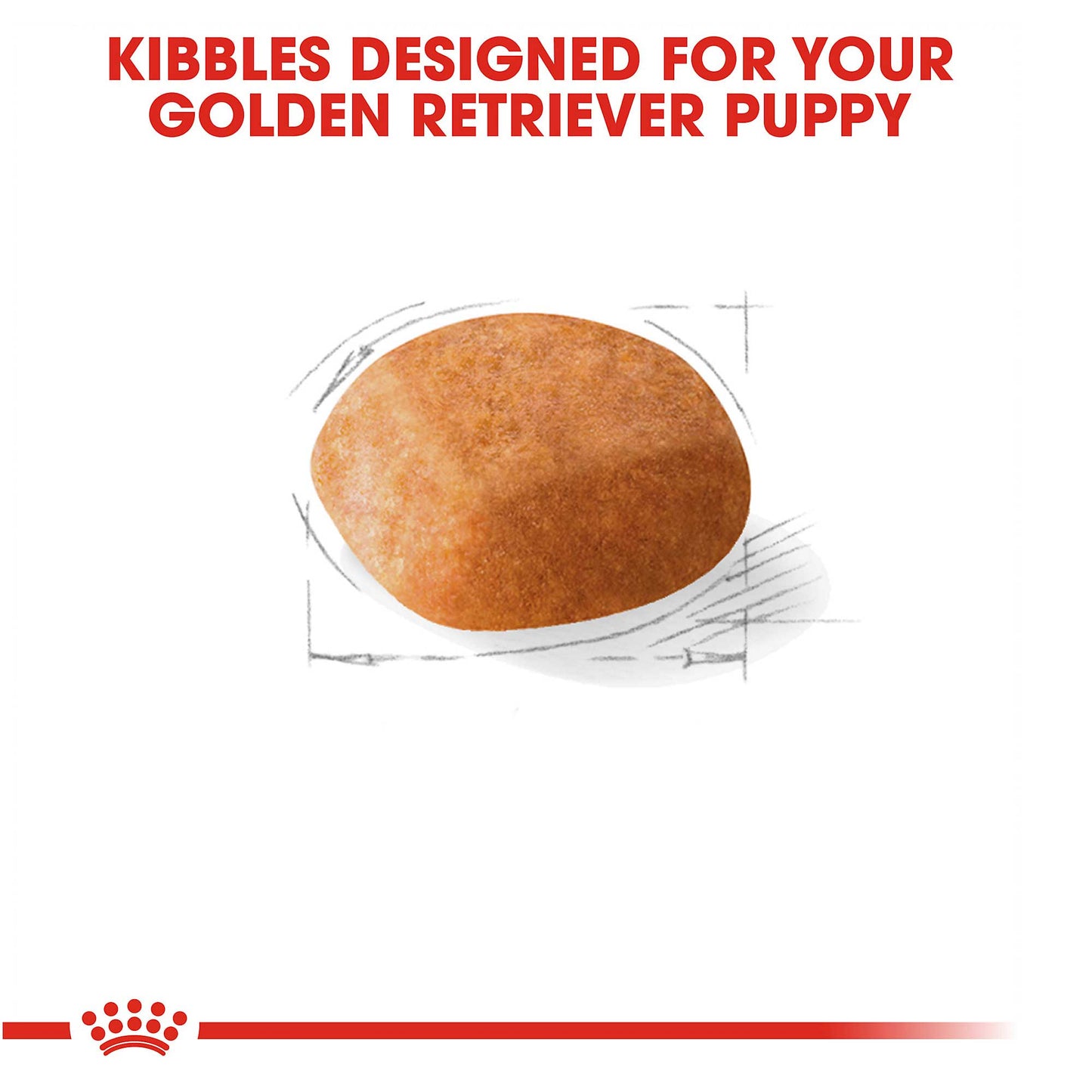 Royal Canin Junior Golden Retriever - PetWorld