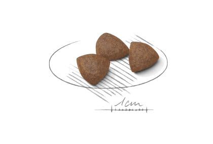 Royal Canin Medium Starter - Mother & Babydog - PetWorld