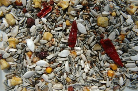 Parrot Food 3KG - PetWorld