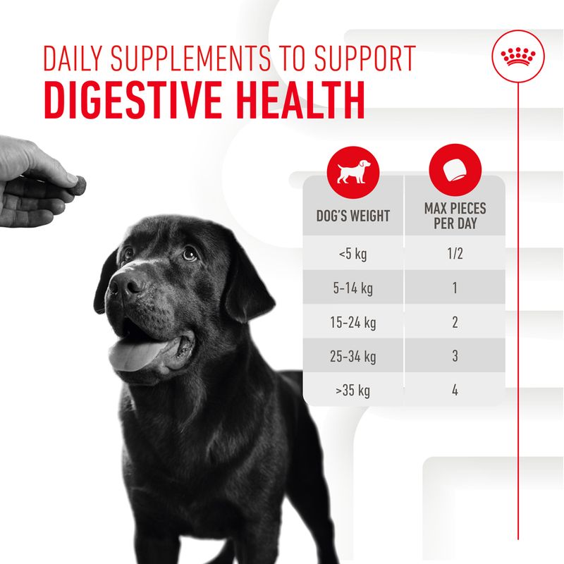 Royal Canin Digestion Chews 160g - Valuepet.ie