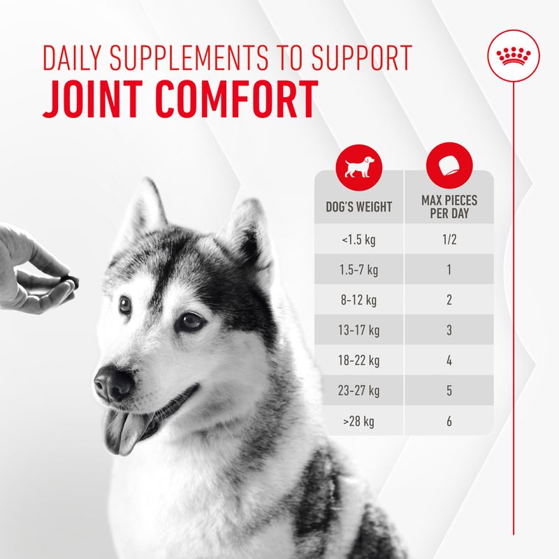 Royal Canin Joint&Ageing Supplements 240g - Valuepet.ie