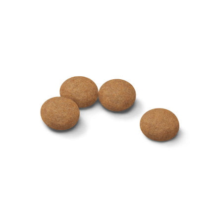 Ageing Sterilised 12+ Cat Food - PetWorld