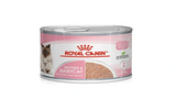 Royal Canin Mother & Baby Cat Ultra Soft Mousse Wet Food, 195g