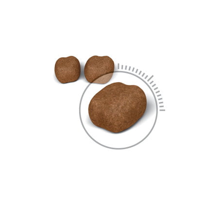 Royal Canin Oral Care 30 Dry Mix - PetWorld