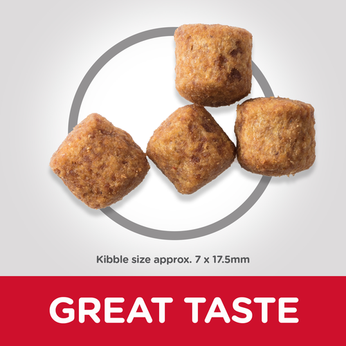 Hills Science Plan Large Breed Mature Adult 6+ Dog Food with Chicken 14kg - PetWorld