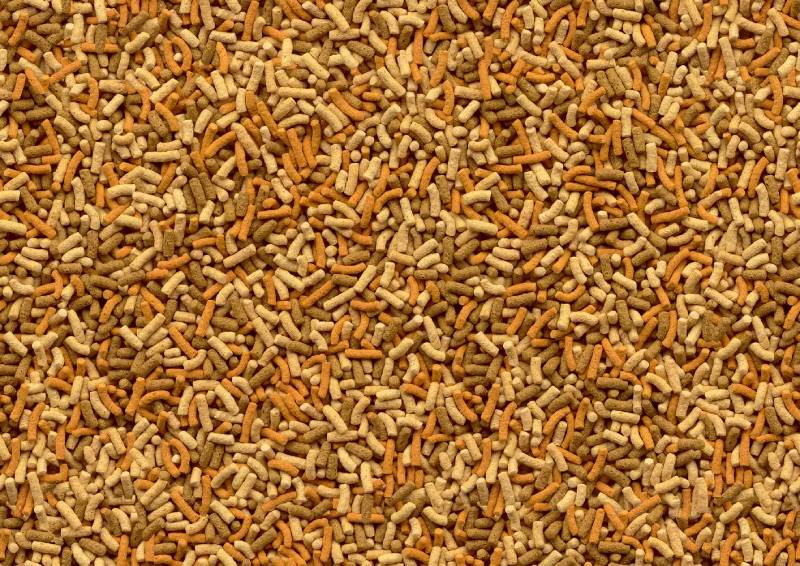 tetra variety pond sticks