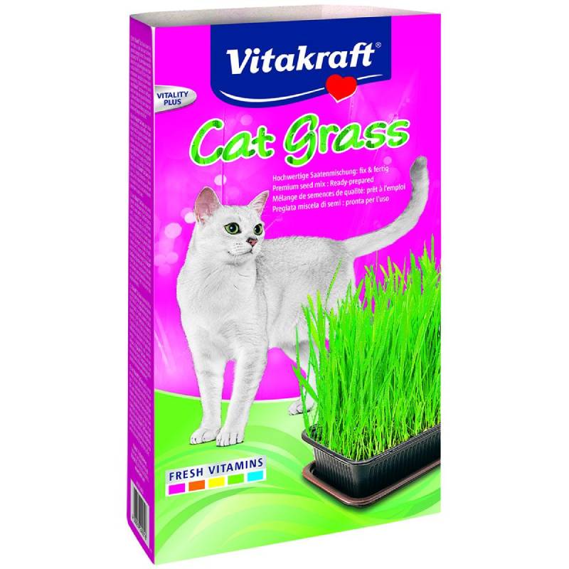 vitakraft cat grass
