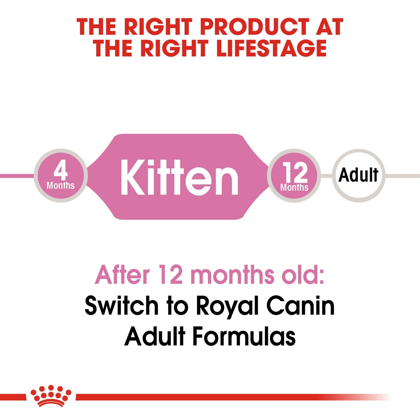 Royal Canin Kitten Dry Cat Food - PetWorld