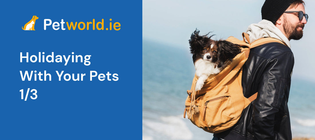 holidaying with your pets