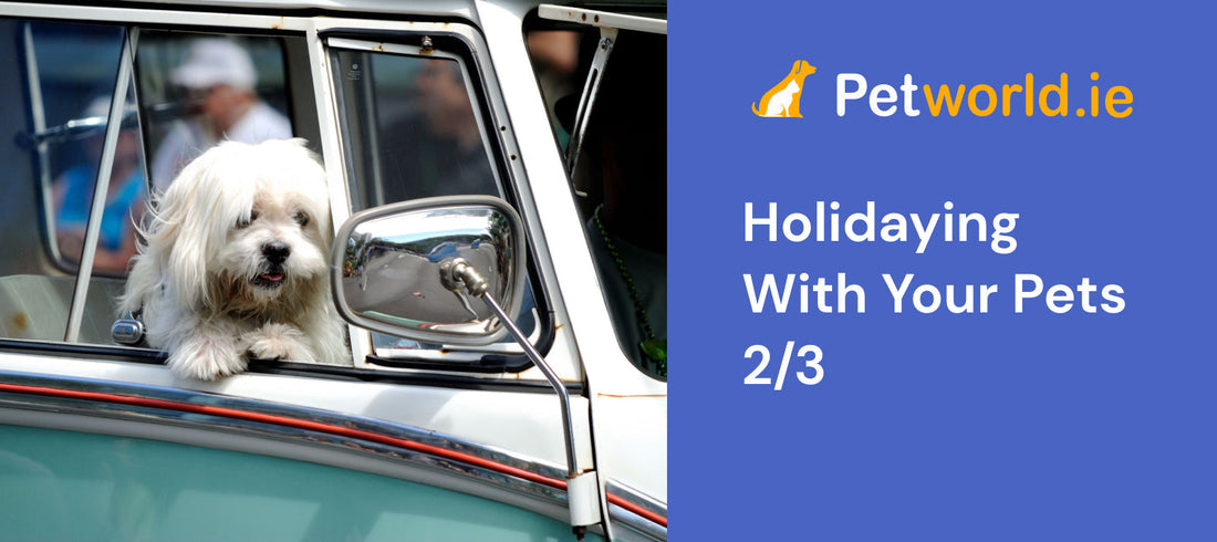 flying with your pet