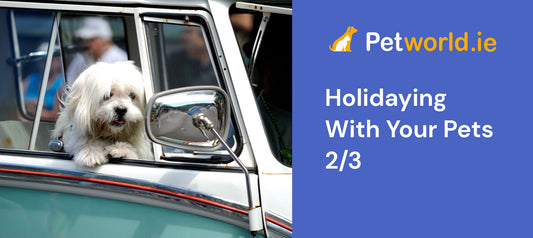 flying with your pet