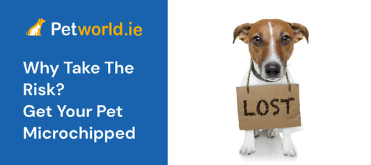 get your pet microchipped