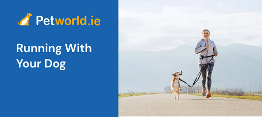 running with your dog