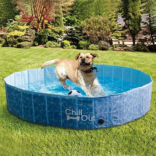 How to Prepare Your Dog for Boarding Kennels
