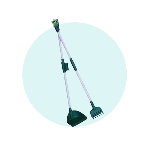 Dog Cleanup & Odour Control