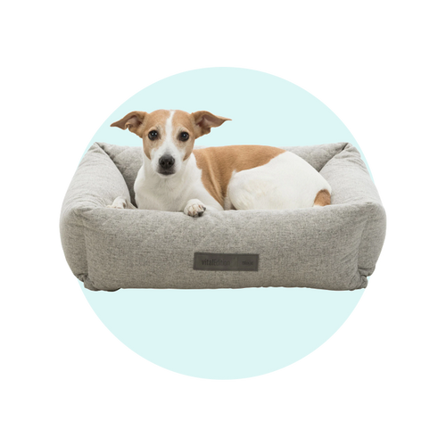 Orthopaedic Beds
