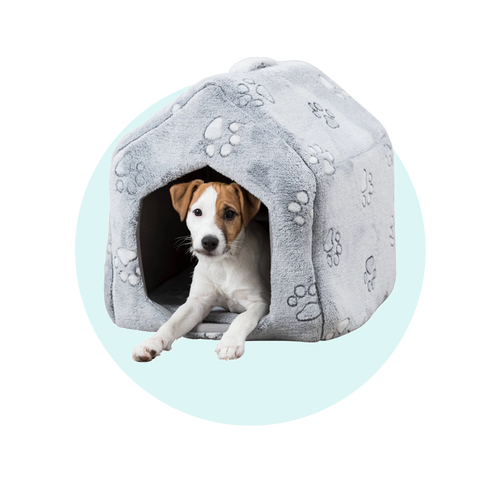 Pet Caves