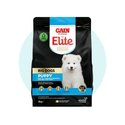 Puppy Food