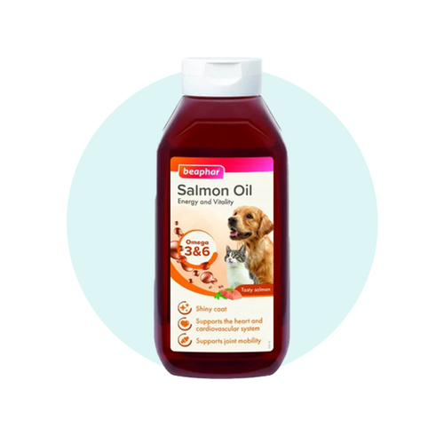 Dog Coat Care