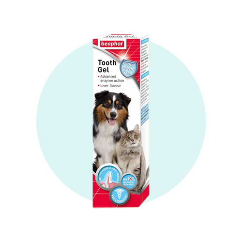 Dog Dental Care