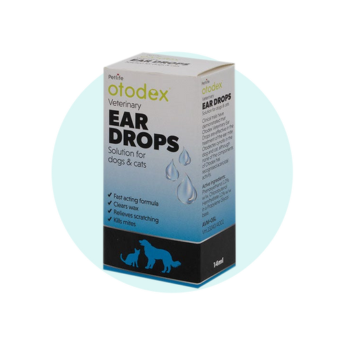 Dog Health