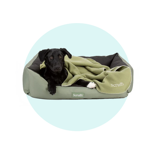 Waterproof Beds