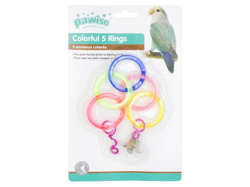 Bird Toys & Accessories
