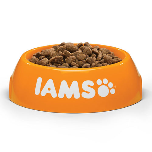 Iams Cat Food