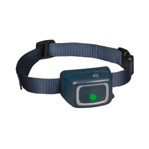 Training Collars