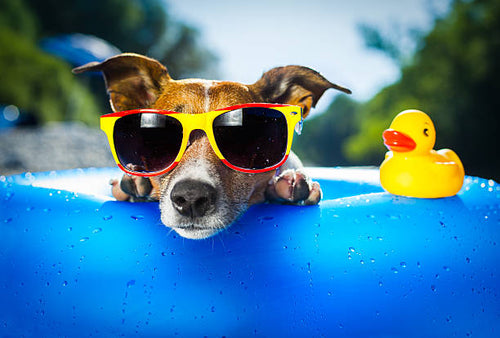 Summer Essentials