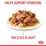 Royal Canin Hair and Skin Care thin slices in gravy served in a bowl, helps support hydration