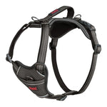 Halti Anatomy Dog Harness