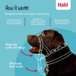 Halti Head Collar Black