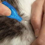 Applying Beaphar FIPROtec spot-on pipette to the skin on the back of a cat's neck