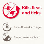 Beaphar FIPROtec for cats: kills fleas and ticks, from 8 weeks of age, easy to use spot-on