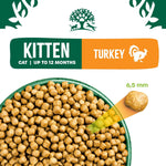 James Wellbeloved Kitten Turkey kibble in a bowl, 6.5mm kibble size