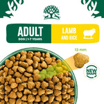 James Wellbeloved Adult Lamb & Rice kibble, 13mm